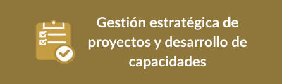 Gestión estratégica de proyectos y desarrollo de capacidades Gestión estratégica de proyectos y desarrollo de capacidades
